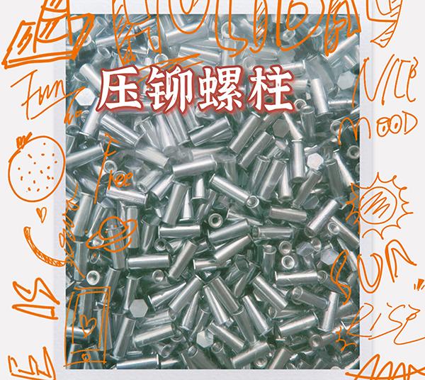  东莞压铆小猪视频APP官方下载柱厂家