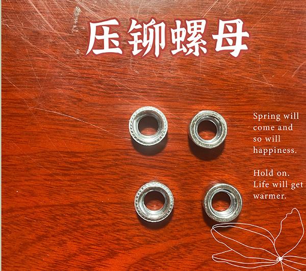 压铆小猪视频APP官方下载柱定做